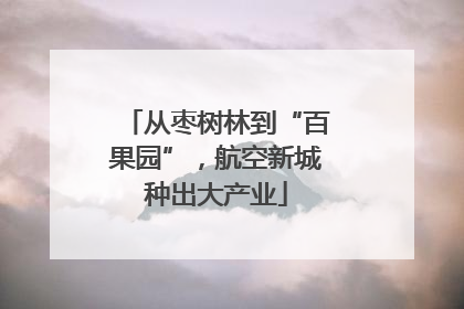 从枣树林到“百果园”，航空新城种出大产业