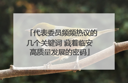 代表委员频频热议的几个关键词 藏着临安高质量发展的密码
