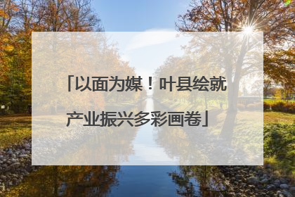 以面为媒！叶县绘就产业振兴多彩画卷