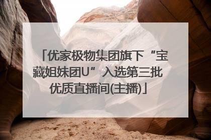 优家极物集团旗下“宝藏姐妹团U”入选第三批优质直播间(主播)