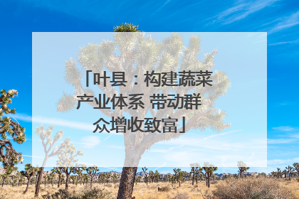 叶县：构建蔬菜产业体系 带动群众增收致富