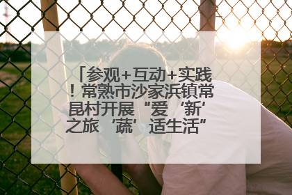 参观+互动+实践！常熟市沙家浜镇常昆村开展“爱‘新’之旅‘蔬’适生活”参观学习活动