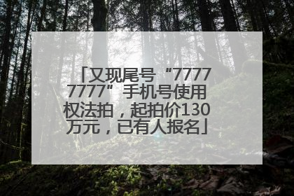 又现尾号“77777777”手机号使用权法拍，起拍价130万元，已有人报名