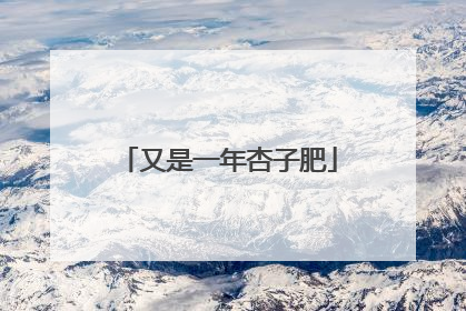 又是一年杏子肥