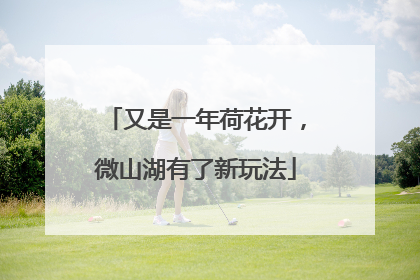 又是一年荷花开，微山湖有了新玩法