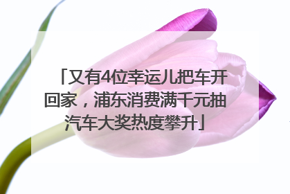 又有4位幸运儿把车开回家，浦东消费满千元抽汽车大奖热度攀升