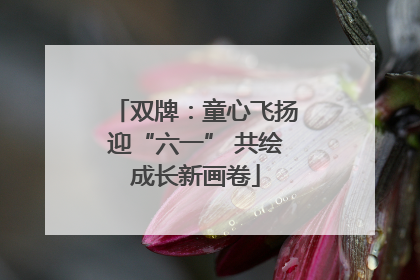 双牌：童心飞扬迎“六一” 共绘成长新画卷