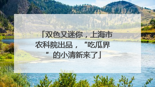 双色又迷你，上海市农科院出品，“吃瓜界”的小清新来了