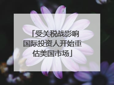 受关税战影响 国际投资人开始重估美国市场