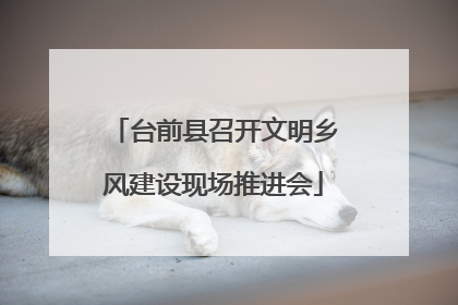 台前县召开文明乡风建设现场推进会