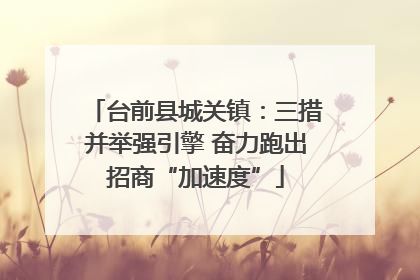 台前县城关镇：三措并举强引擎 奋力跑出招商“加速度”