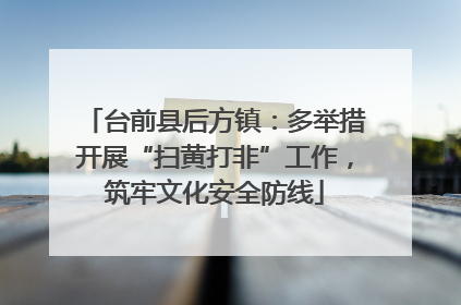 台前县后方镇：多举措开展“扫黄打非”工作，筑牢文化安全防线