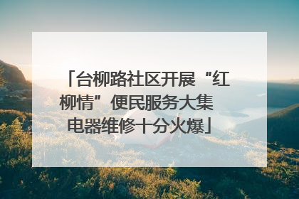 台柳路社区开展“红柳情”便民服务大集 电器维修十分火爆