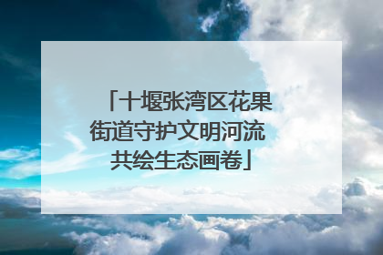 十堰张湾区花果街道守护文明河流 共绘生态画卷