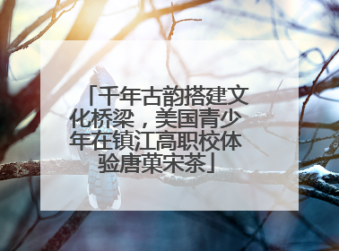 千年古韵搭建文化桥梁，美国青少年在镇江高职校体验唐菓宋茶