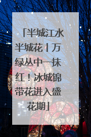 半城江水半城花丨万绿丛中一抹红！冰城锦带花进入盛花期