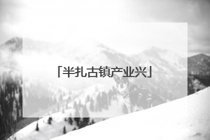 半扎古镇产业兴