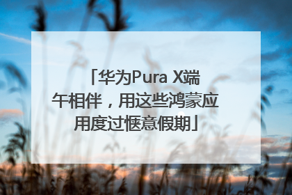 华为Pura X端午相伴，用这些鸿蒙应用度过惬意假期