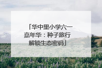 华中里小学六一嘉年华：种子旅行解锁生态密码