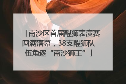 南沙区首届醒狮表演赛圆满落幕，38支醒狮队伍角逐“南沙狮王”