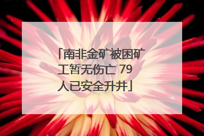 南非金矿被困矿工暂无伤亡 79人已安全升井