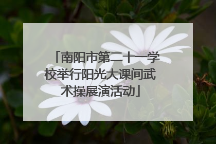 南阳市第二十一学校举行阳光大课间武术操展演活动
