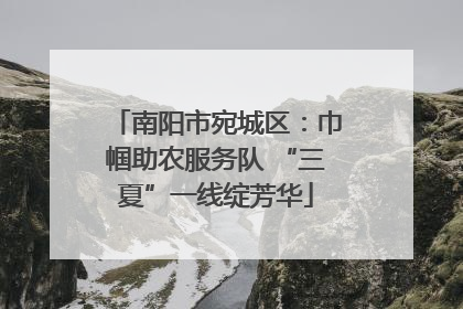 南阳市宛城区：巾帼助农服务队 “三夏”一线绽芳华