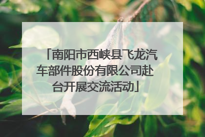 南阳市西峡县飞龙汽车部件股份有限公司赴台开展交流活动