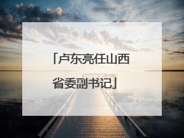 卢东亮任山西省委副书记