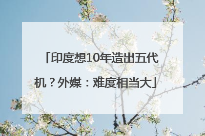 印度想10年造出五代机？外媒：难度相当大