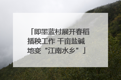 即墨蓝村展开春稻插秧工作 千亩盐碱地变“江南水乡”