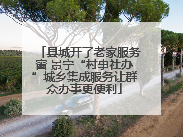 县城开了老家服务窗 景宁“村事社办”城乡集成服务让群众办事更便利