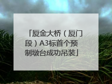 厦金大桥（厦门段）A3标首个预制墩台成功吊装