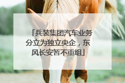 兵装集团汽车业务分立为独立央企，东风长安暂不重组