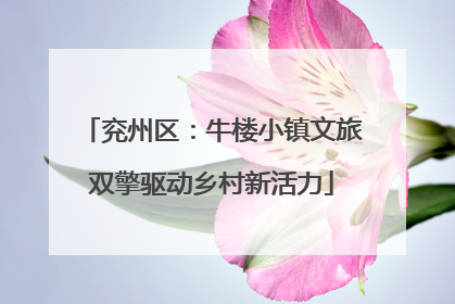 兖州区：牛楼小镇文旅双擎驱动乡村新活力
