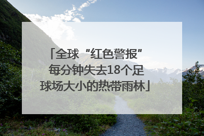全球“红色警报”  每分钟失去18个足球场大小的热带雨林