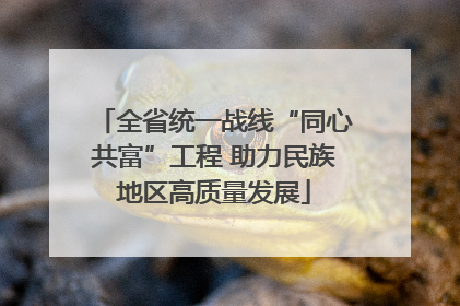 全省统一战线“同心共富”工程 助力民族地区高质量发展