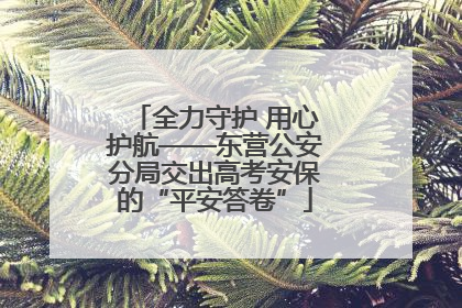 全力守护 用心护航——东营公安分局交出高考安保的“平安答卷”
