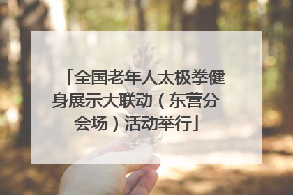 全国老年人太极拳健身展示大联动（东营分会场）活动举行