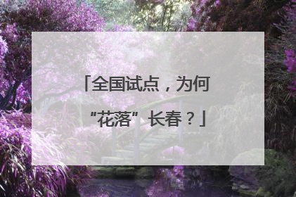 全国试点，为何“花落”长春？