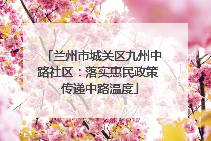 兰州市城关区九州中路社区：落实惠民政策 传递中路温度