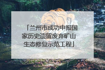 兰州市成功申报国家历史遗留废弃矿山生态修复示范工程