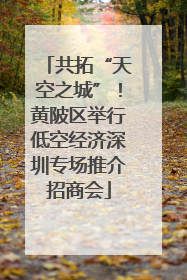 共拓“天空之城”！黄陂区举行低空经济深圳专场推介招商会