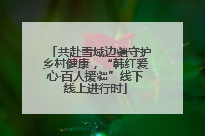 共赴雪域边疆守护乡村健康，“韩红爱心·百人援疆”线下线上进行时