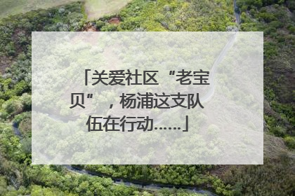 关爱社区“老宝贝”，杨浦这支队伍在行动……
