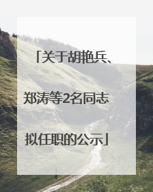 关于胡艳兵、郑涛等2名同志拟任职的公示
