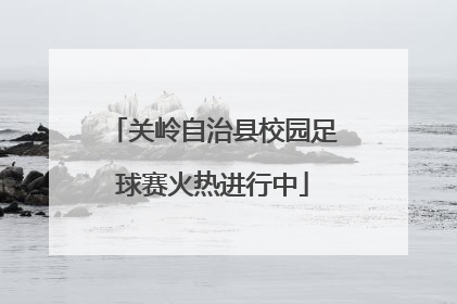关岭自治县校园足球赛火热进行中