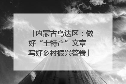 内蒙古乌达区：做好“土特产”文章 写好乡村振兴答卷