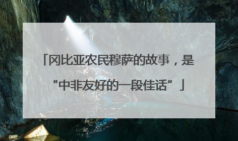 冈比亚农民穆萨的故事，是“中非友好的一段佳话”