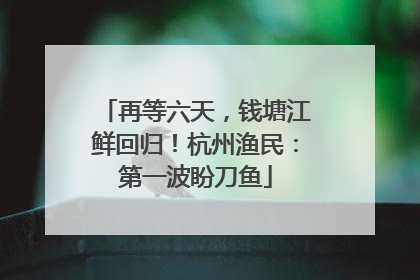 再等六天，钱塘江鲜回归！杭州渔民：第一波盼刀鱼